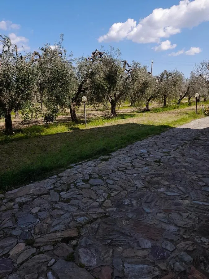 Casa Framida Villa Cecina  0*, Cecina (Livorno)